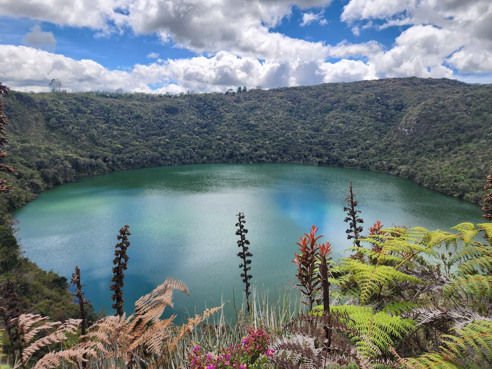 Reserva Forestal Protectora Laguna del Cacique Guatavita, Bogota