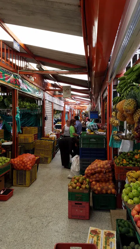 The Fruit That Has No Translation: Bogotá's Market Stalls and the Juice Bar Ritual
