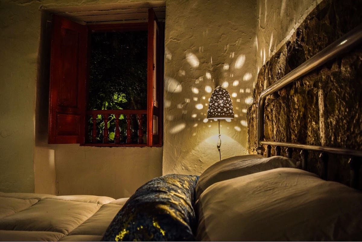 Botanico Hostel — photo 3