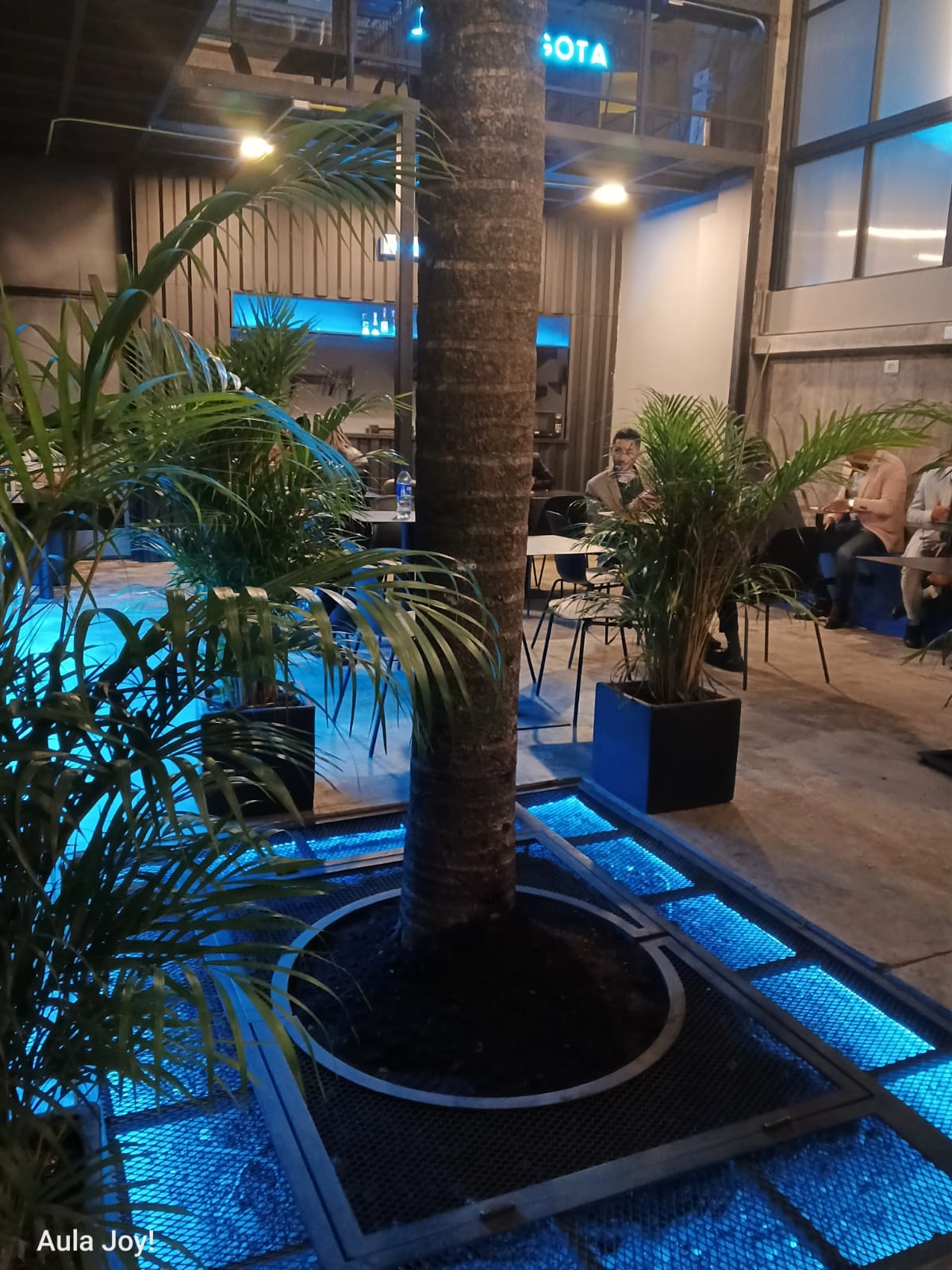 Fernweh Hostel, Bogota