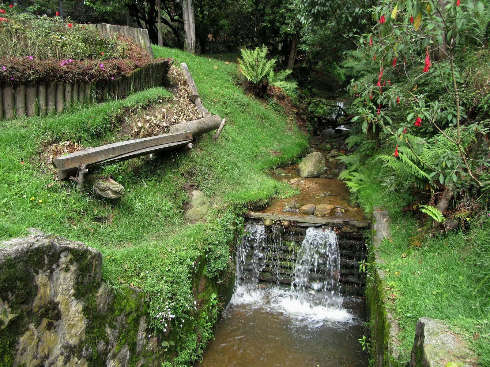Quebrada La Vieja Trail, Bogota